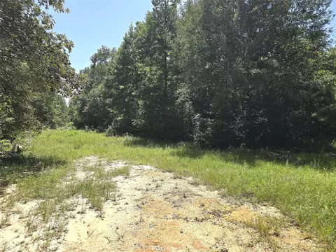 1031 Plantation Dr, Livingston, TX 77351