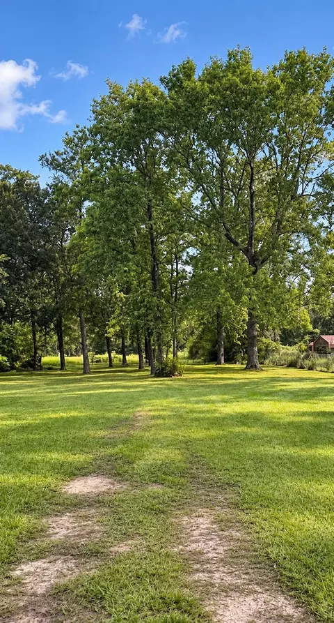 25710 Wildflower Dr, Magnolia, TX 77354