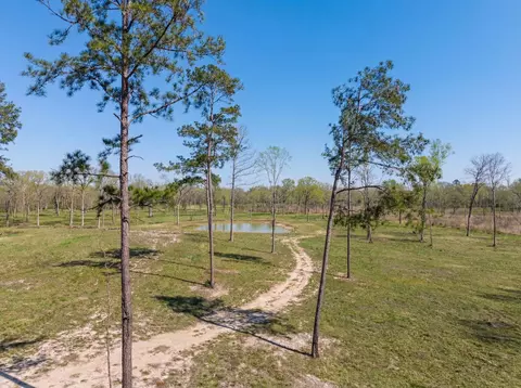 lot6 Johnson Dr, Livingston, TX 77351