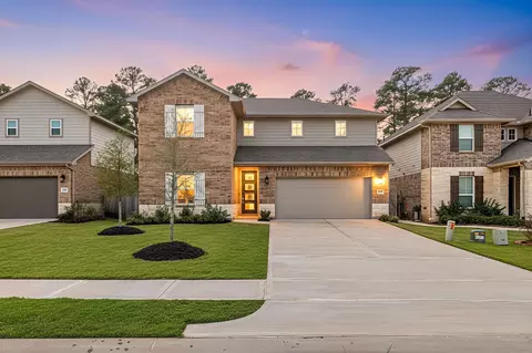 17929 Canopy Trace Ct, Montgomery, TX 77356