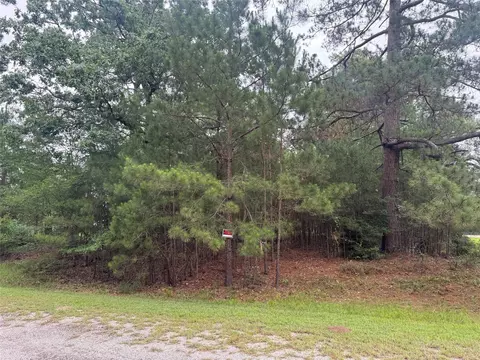 tbd Persimmon Cir, Point Blank, TX 77364 photo 4