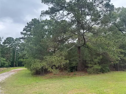 tbd Persimmon Cir, Point Blank, TX 77364 photo 2