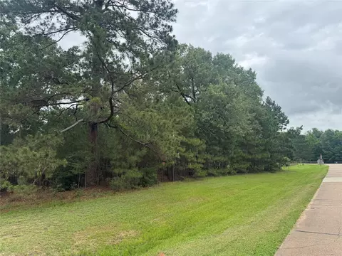 tbd Persimmon Cir, Point Blank, TX 77364 photo 6