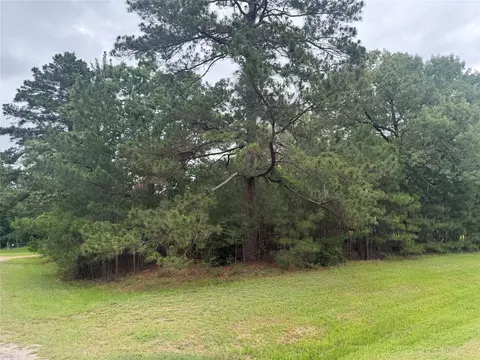 tbd Persimmon Cir, Point Blank, TX 77364 photo 3
