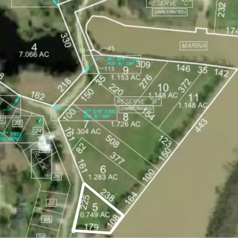 lot5 Lake Livingston Ln, Trinity, TX 75862