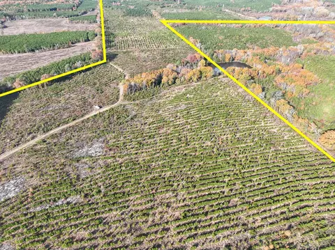 0 Cr 3201, Daingerfield, TX 75638