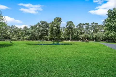 Exterior - 12300 Cedar Ln, Willis, TX 77378 photo 10 of 11