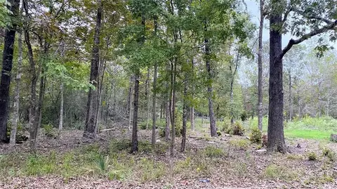 O Panther Lane, Livingston, TX 77351