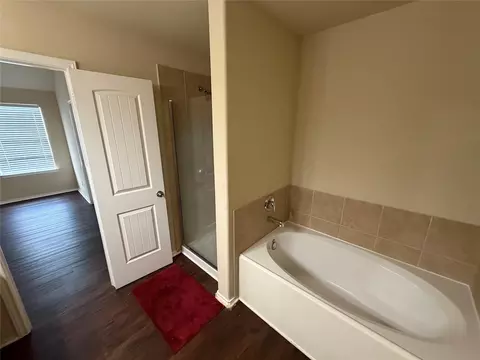 Bath - 18436 Cloudmore Ln, Elgin, TX 78621 photo 2 of 4