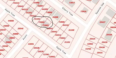000 Apple Tree, Livingston, TX 77351