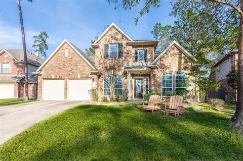 18 Petal Park Pl, The Woodlands, TX 77382