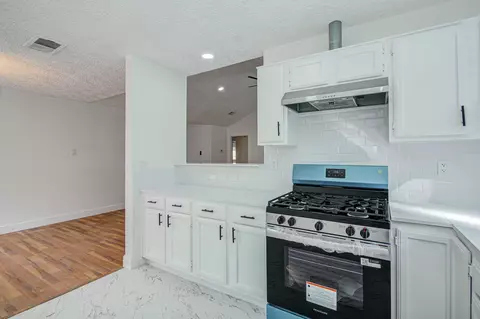 Kitchen - 24127 Spring Towne Dr, Spring, TX 77373 photo 3 of 4