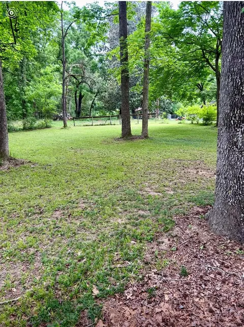 Exterior - 141 Walnut Loop Loop, Shepherd, TX 77371 photo 19 of 19