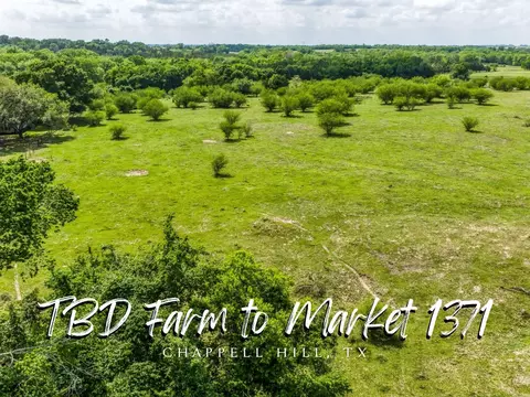 tbd Farm To Market 1371, Chappell Hill, TX 77426