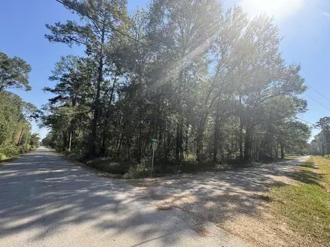 0 Dennis Peyton Rd, Shepherd, TX 77371