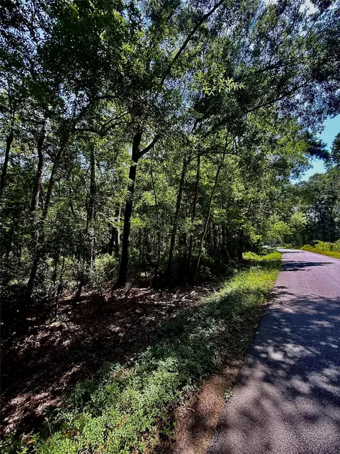 tbd Lot 1 Rolling Hills Dr, Porter, TX 77365
