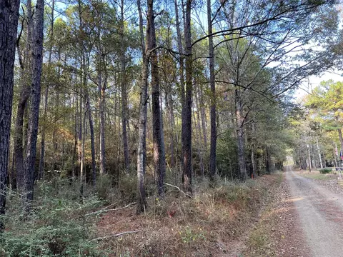 tbd County Rd 2940, Shelbyville, TX 75973