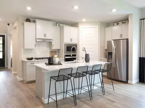 224 Raine Manor Ct, Montgomery, TX 77316