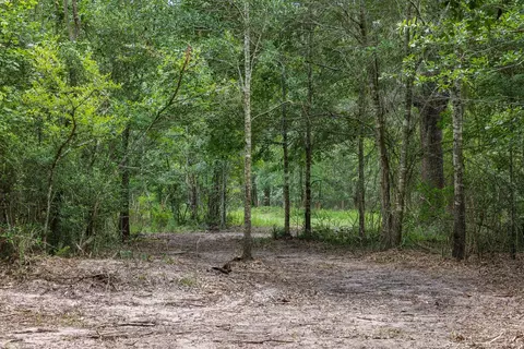 4986 Old Wagon Ln, Richards, TX 77873 photo 30