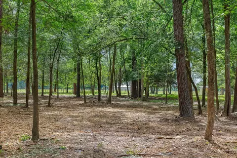 4986 Old Wagon Ln, Richards, TX 77873 photo 29