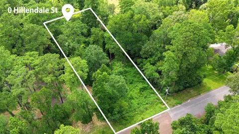 0 Hillendale Dr, Livingston, TX 77351