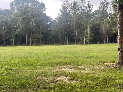 0 E Capps Rd, Livingston, TX 77351