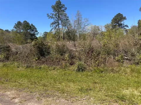 0 Dottie Ln, Shepherd, TX 77371