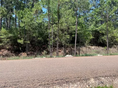 tbd E Moonlight Cir, Onalaska, TX 77360 photo 2