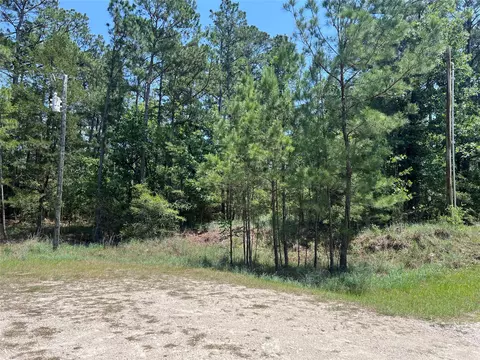 tbd E Moonlight Cir, Onalaska, TX 77360 photo 12