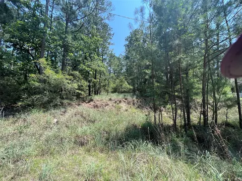 tbd E Moonlight Cir, Onalaska, TX 77360 photo 9