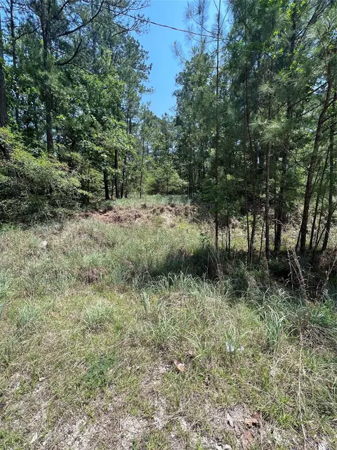 tbd E Moonlight Cir, Onalaska, TX 77360 photo 8