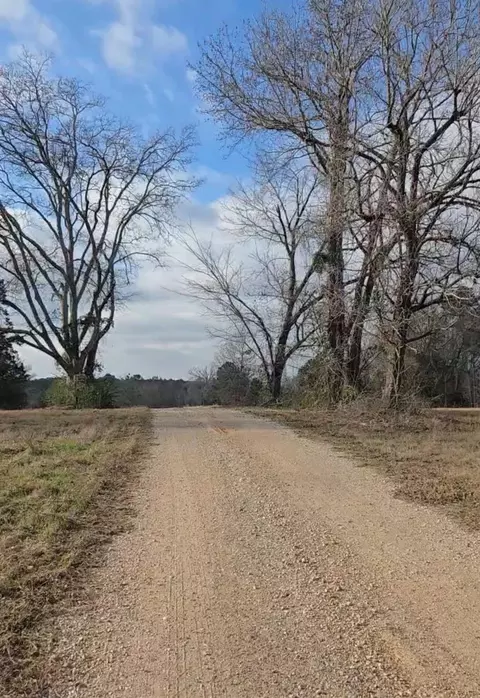 16701 Cr 367, Winona, TX 75792