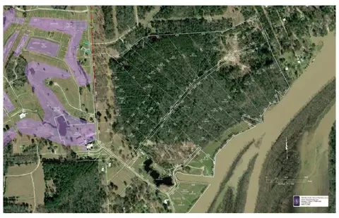 lot8 Lake Livingston Ln, Trinity, TX 75862 photo 3