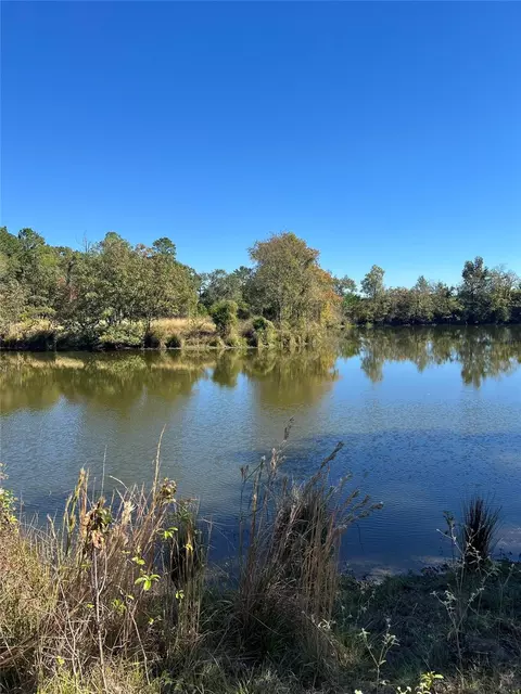 lot8 Lake Livingston Ln, Trinity, TX 75862 photo 9