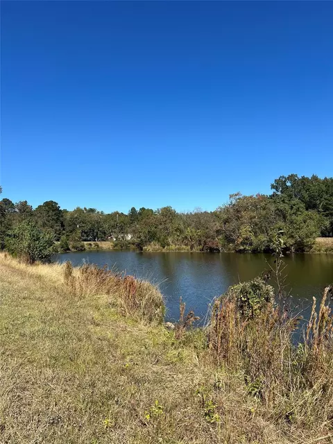 lot8 Lake Livingston Ln, Trinity, TX 75862 photo 8