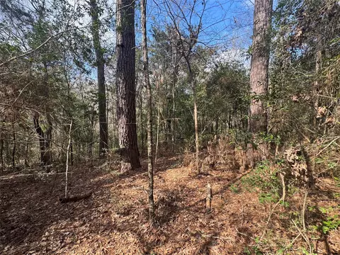 lot219 Mallard Dr, Coldspring, TX 77331