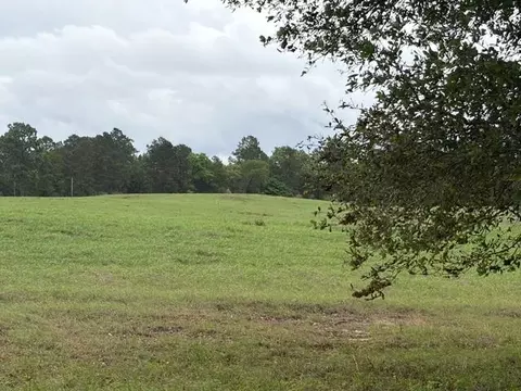 lot251 Lakeland Rnch, Hillister, TX 77624