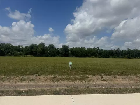1803 Rymal Ranch Rd, Algoa, TX 77511