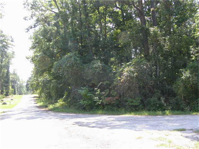 334 Eagle Lk N, Onalaska, TX 77360 photo 1