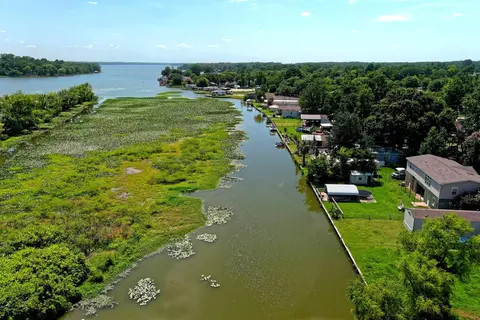 View/Area - 11789 White Cedar, Willis, TX 77318 photo 4 of 5