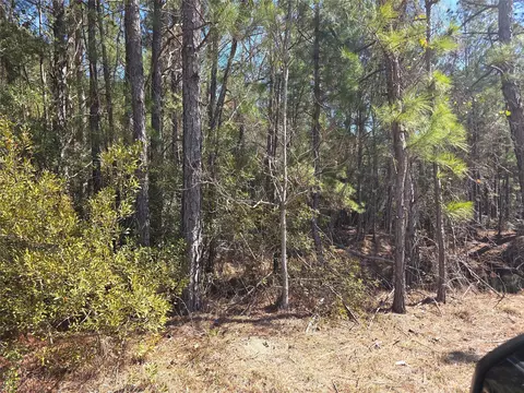 12635 Fm 356, Trinity, TX 75862 photo 6