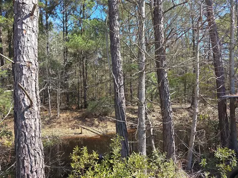 12635 Fm 356, Trinity, TX 75862 photo 7