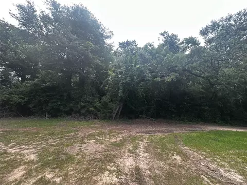 tbd Old Israel Rd, Livingston, TX 77351