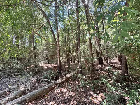tbd 34 Westwood Dr E, Trinity, TX 75862 photo 6