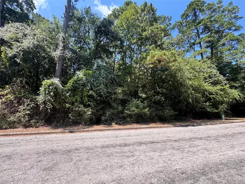 tbd 34 Westwood Dr E, Trinity, TX 75862 photo 3