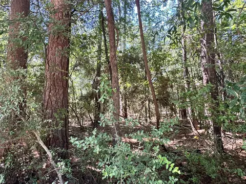 tbd 34 Westwood Dr E, Trinity, TX 75862 photo 4