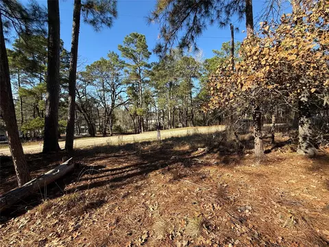 310 Oakwood Ln, Trinity, TX 75862 photo 14