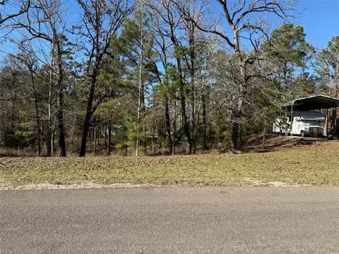 310 Oakwood Ln, Trinity, TX 75862 photo 8