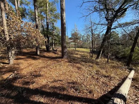 310 Oakwood Ln, Trinity, TX 75862 photo 13