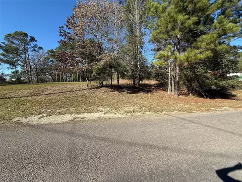 310 Oakwood Ln, Trinity, TX 75862 photo 3